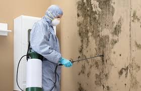 Best Mold Remediation for Rental Properties  in Emmaus, PA